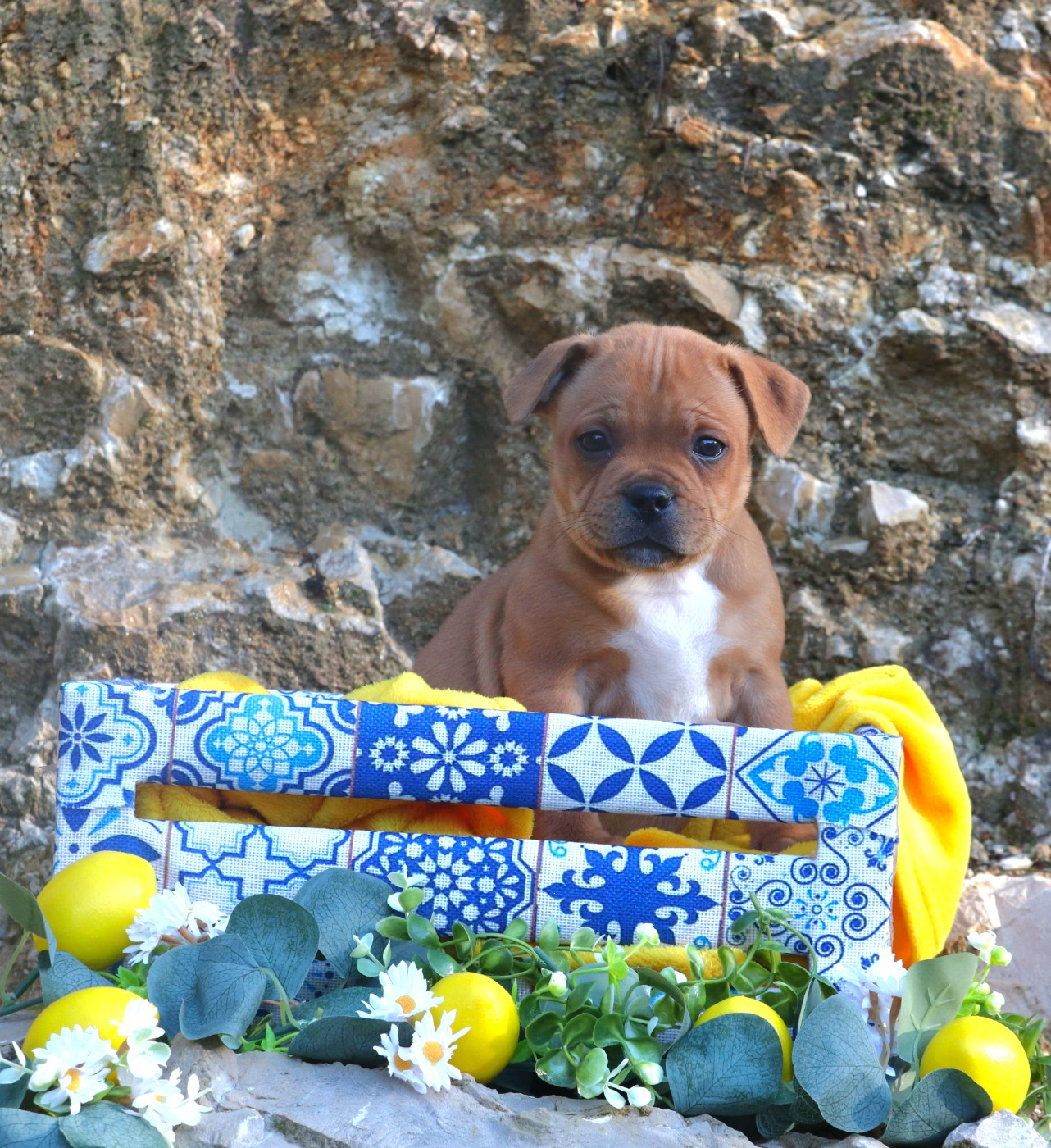 Ace of Hearts Of Red Diamond's